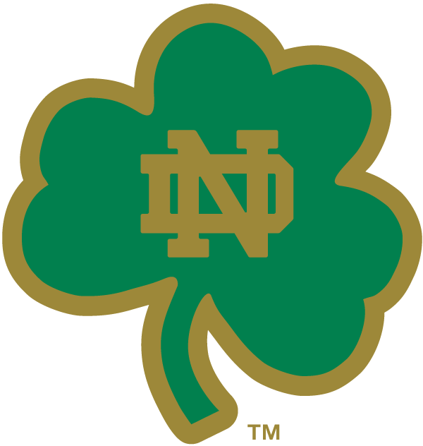 Notre Dame Fighting Irish 1994-Pres Alternate Logo v15 DIY iron on transfer (heat transfer)